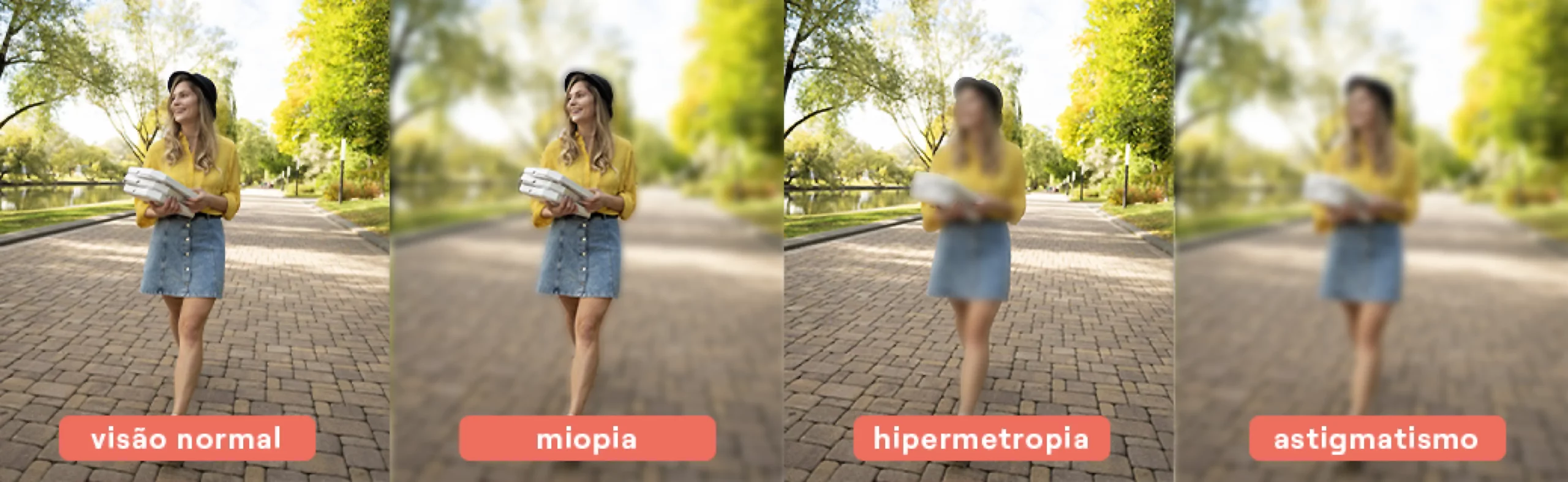 diferentes tipos de visão